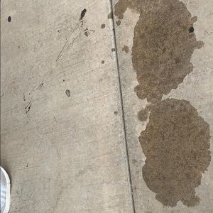 Meet your Posher, Annsleigh